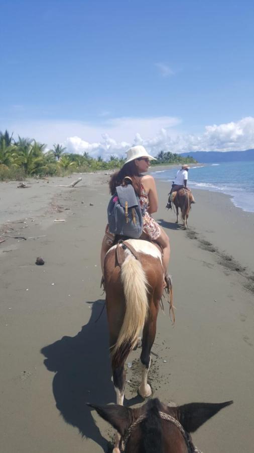 Waleskas Place Bed & Breakfast Puerto Jiménez Екстериор снимка