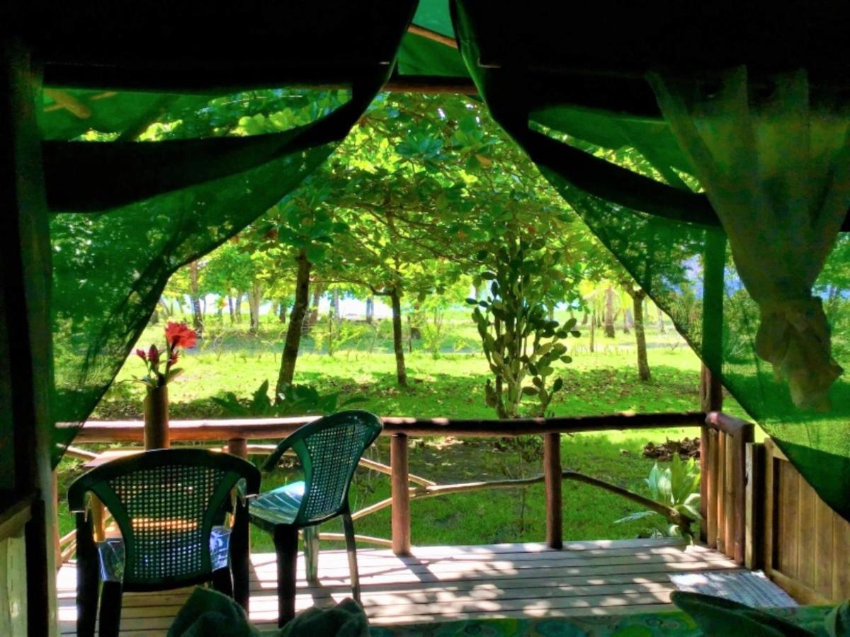 Waleskas Place Bed & Breakfast Puerto Jiménez Екстериор снимка
